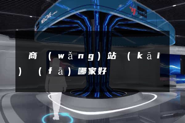 電商網(wǎng)站開(kāi)發(fā)哪家好