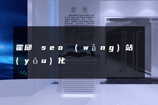 霍邱縣seo網(wǎng)站優(yōu)化