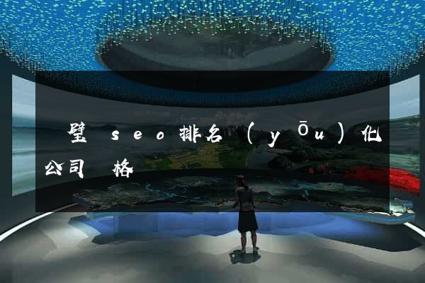 靈璧縣seo排名優(yōu)化公司價格