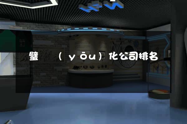 靈璧縣優(yōu)化公司排名