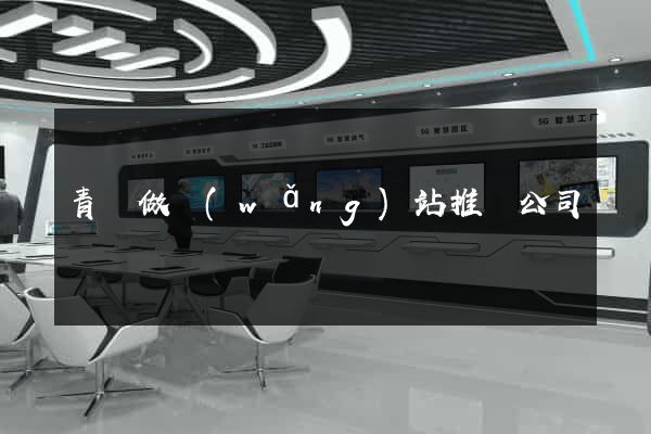 青島做網(wǎng)站推廣公司