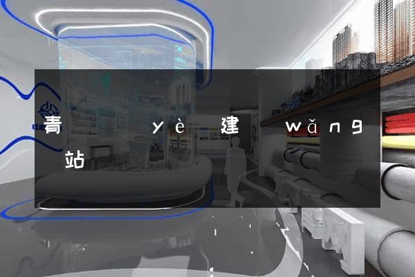 青島專業(yè)建網(wǎng)站