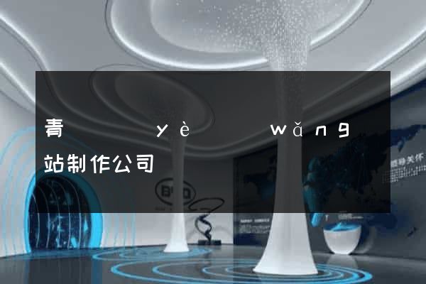青島專業(yè)網(wǎng)站制作公司