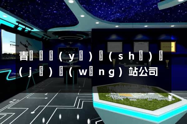 青島專業(yè)設(shè)計(jì)網(wǎng)站公司