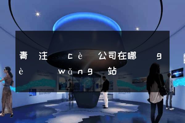 青島注冊(cè)公司在哪個(gè)網(wǎng)站
