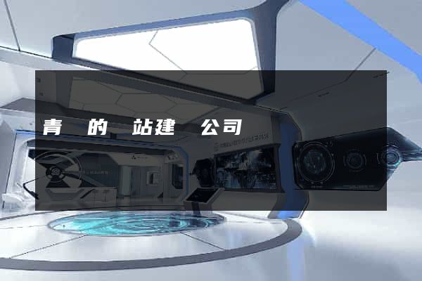 青島的網站建設公司