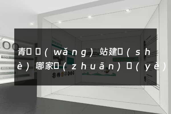 青島網(wǎng)站建設(shè)哪家專(zhuān)業(yè)