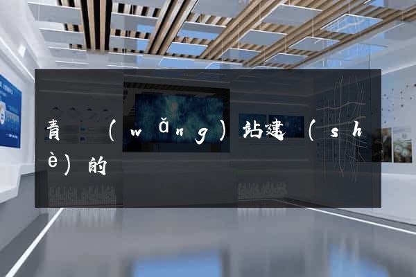 青島網(wǎng)站建設(shè)的