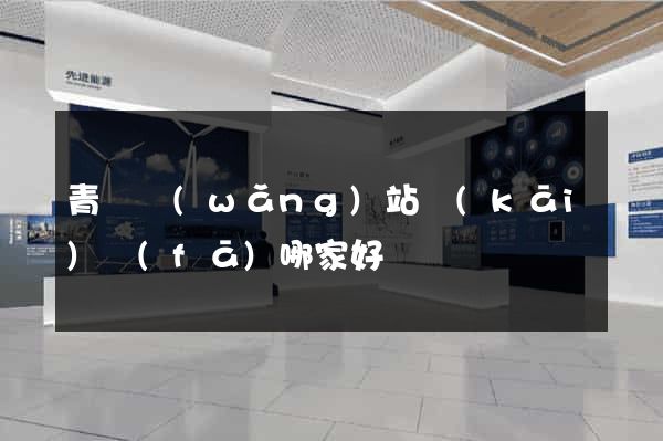 青島網(wǎng)站開(kāi)發(fā)哪家好