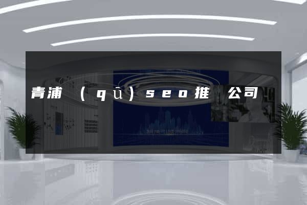 青浦區(qū)seo推廣公司