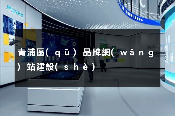 青浦區(qū)品牌網(wǎng)站建設(shè)