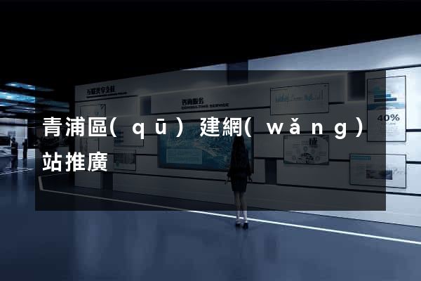 青浦區(qū)建網(wǎng)站推廣