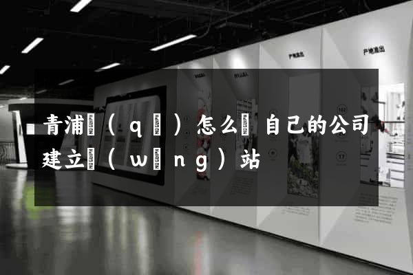青浦區(qū)怎么給自己的公司建立網(wǎng)站