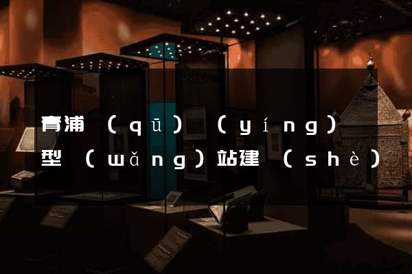 青浦區(qū)營(yíng)銷型網(wǎng)站建設(shè)