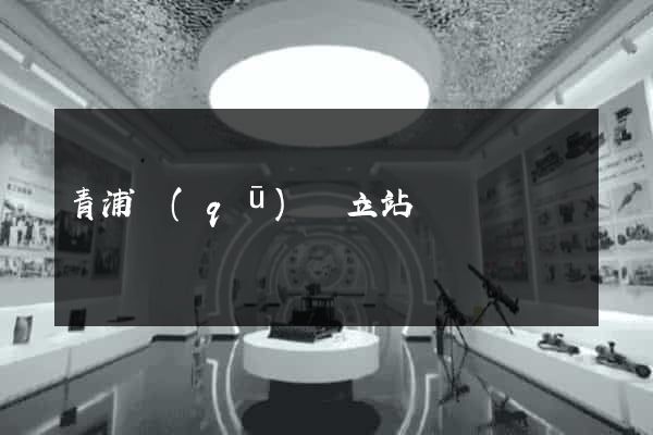 青浦區(qū)獨立站運營