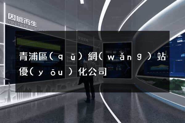 青浦區(qū)網(wǎng)站優(yōu)化公司