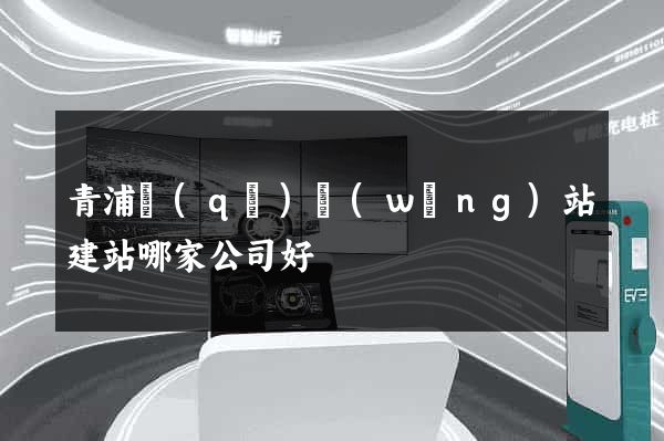 青浦區(qū)網(wǎng)站建站哪家公司好