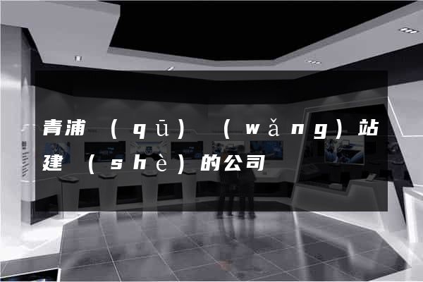 青浦區(qū)網(wǎng)站建設(shè)的公司