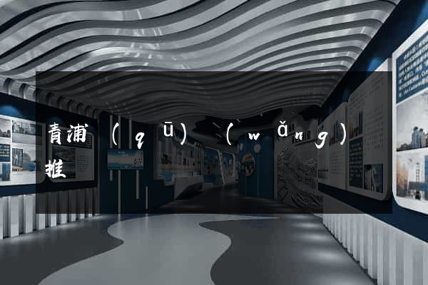 青浦區(qū)網(wǎng)絡推廣