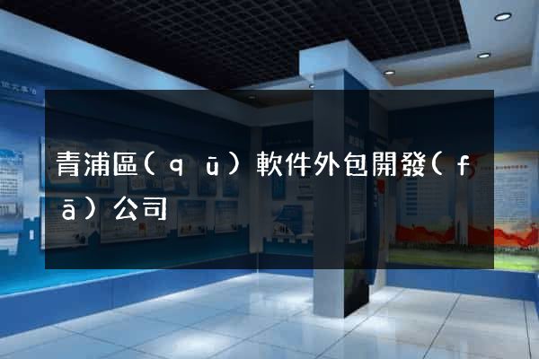 青浦區(qū)軟件外包開發(fā)公司