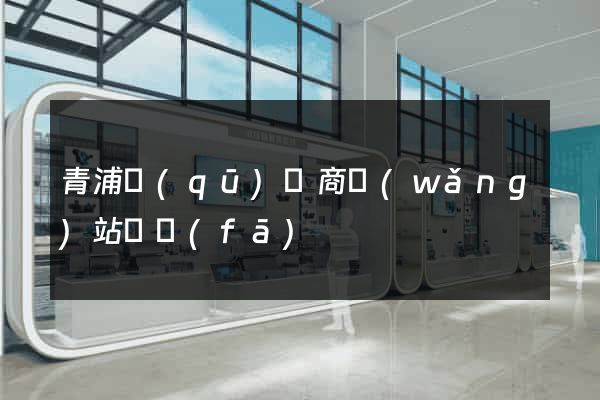青浦區(qū)電商網(wǎng)站開發(fā)