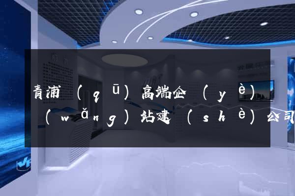 青浦區(qū)高端企業(yè)網(wǎng)站建設(shè)公司