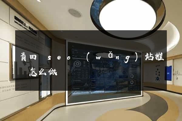 青田縣seo網(wǎng)站推廣怎么做