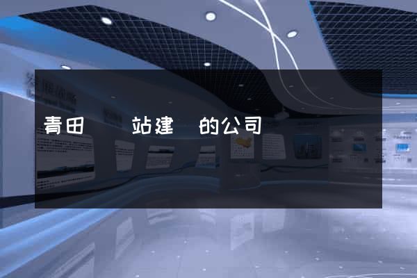 青田縣網站建設的公司