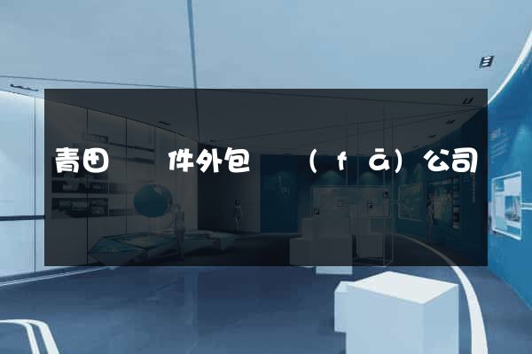 青田縣軟件外包開發(fā)公司