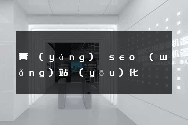 青陽(yáng)縣seo網(wǎng)站優(yōu)化