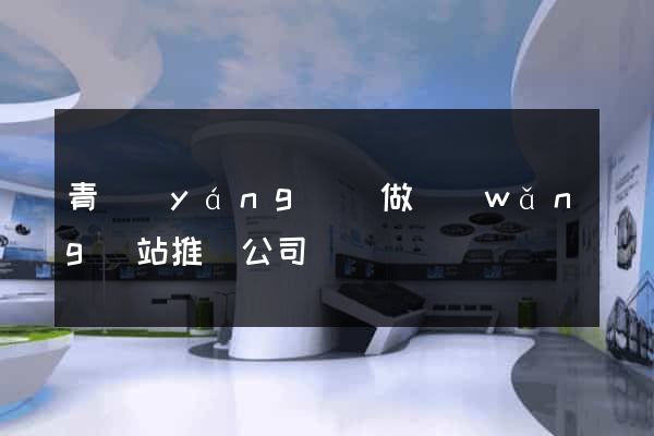 青陽(yáng)縣做網(wǎng)站推廣公司
