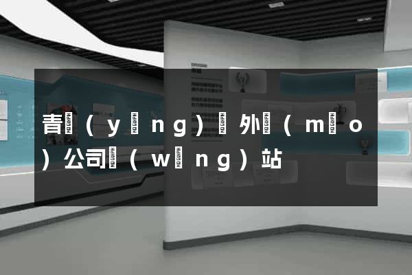 青陽(yáng)縣外貿(mào)公司網(wǎng)站