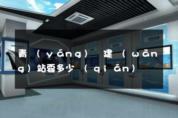 青陽(yáng)縣建網(wǎng)站要多少錢(qián)