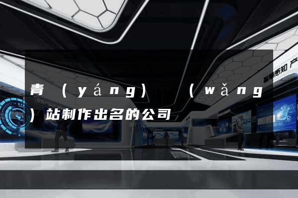 青陽(yáng)縣網(wǎng)站制作出名的公司