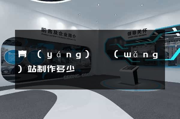 青陽(yáng)縣網(wǎng)站制作多少錢