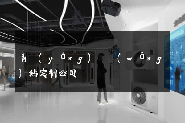 青陽(yáng)縣網(wǎng)站定制公司