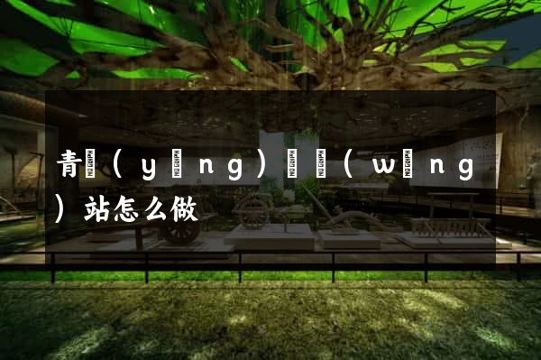 青陽(yáng)縣網(wǎng)站怎么做