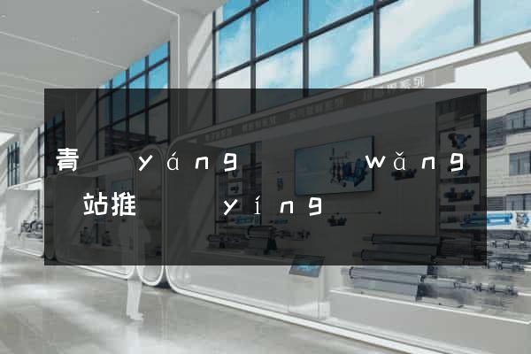 青陽(yáng)縣網(wǎng)站推廣營(yíng)銷