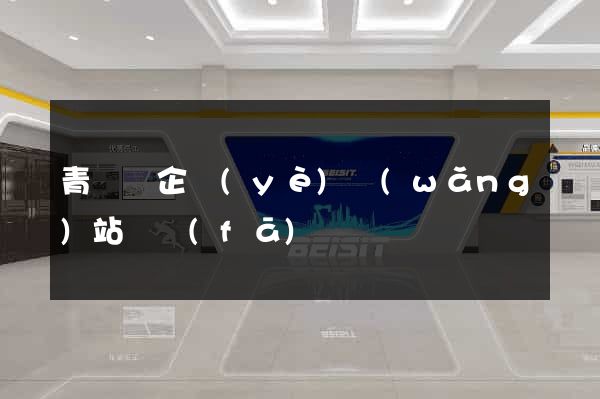 青陽縣企業(yè)網(wǎng)站開發(fā)