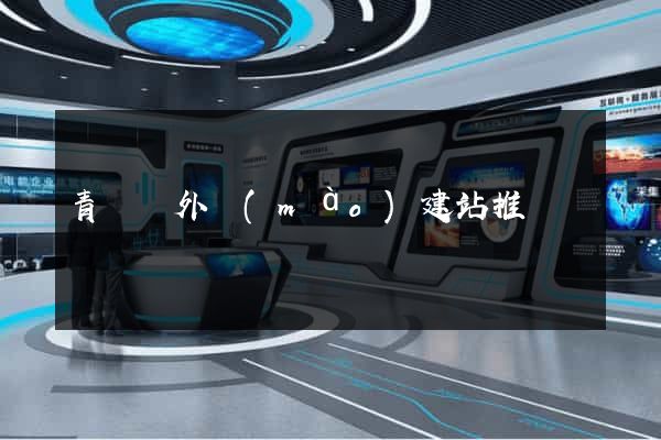 青陽縣外貿(mào)建站推廣