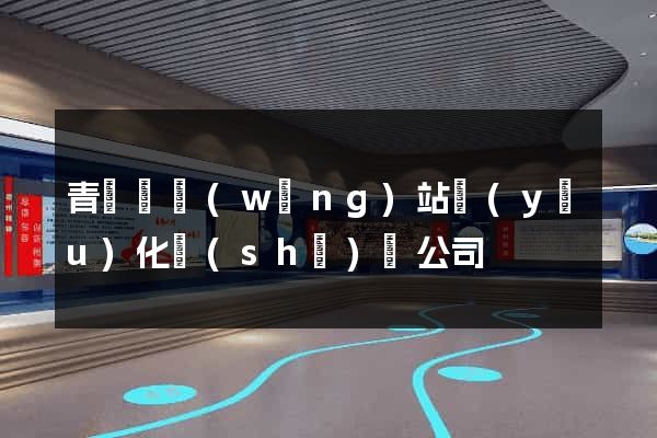 青陽縣網(wǎng)站優(yōu)化設(shè)計公司