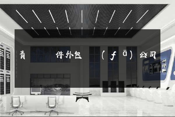 青陽縣軟件外包開發(fā)公司