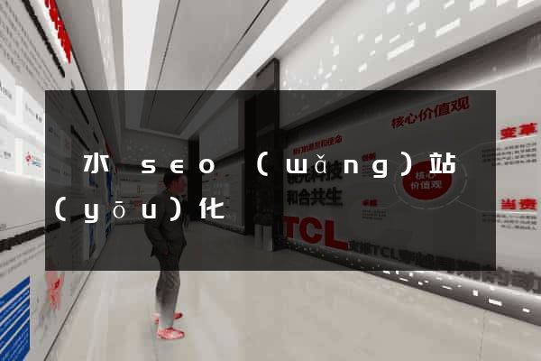 響水縣seo網(wǎng)站優(yōu)化