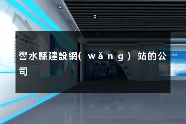 響水縣建設網(wǎng)站的公司