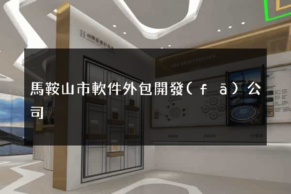 馬鞍山市軟件外包開發(fā)公司
