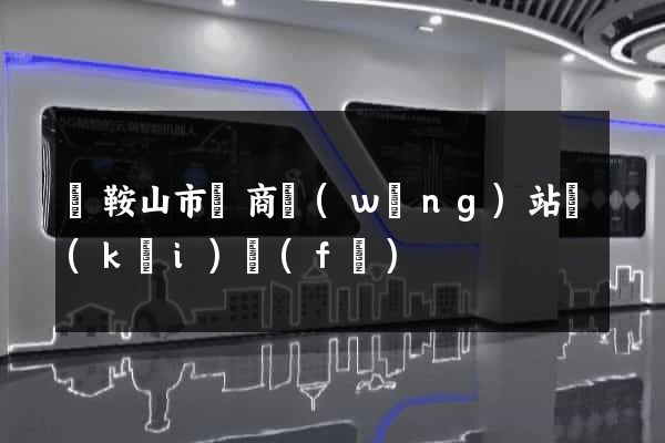 馬鞍山市電商網(wǎng)站開(kāi)發(fā)