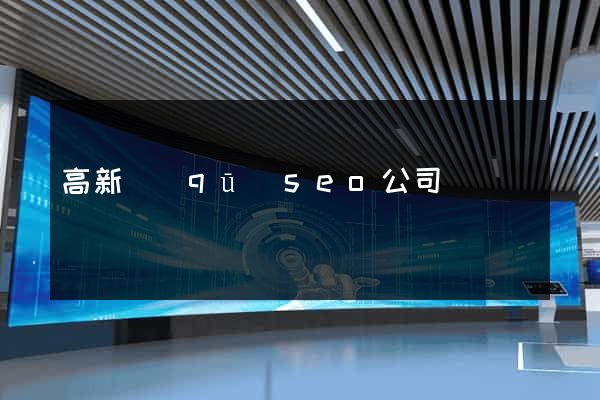 高新區(qū)seo公司