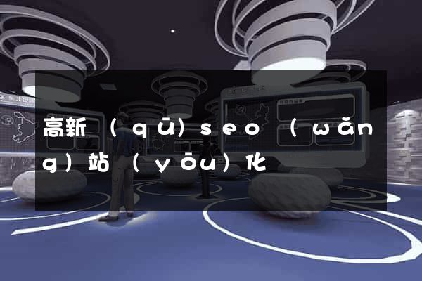 高新區(qū)seo網(wǎng)站優(yōu)化