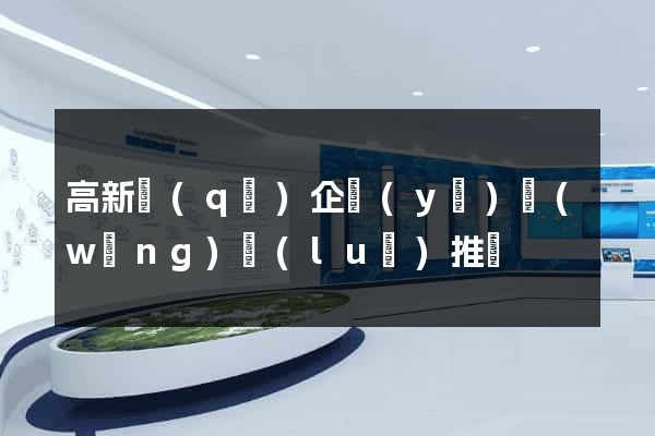 高新區(qū)企業(yè)網(wǎng)絡(luò)推廣