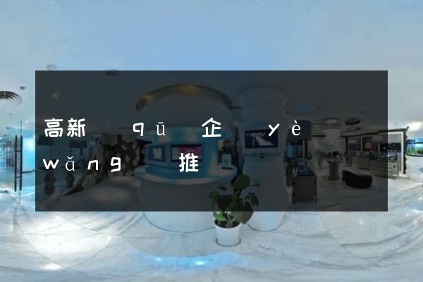 高新區(qū)企業(yè)網(wǎng)絡推廣